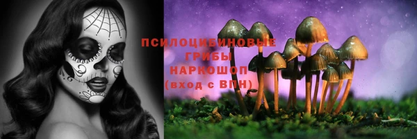 марки lsd Белокуриха